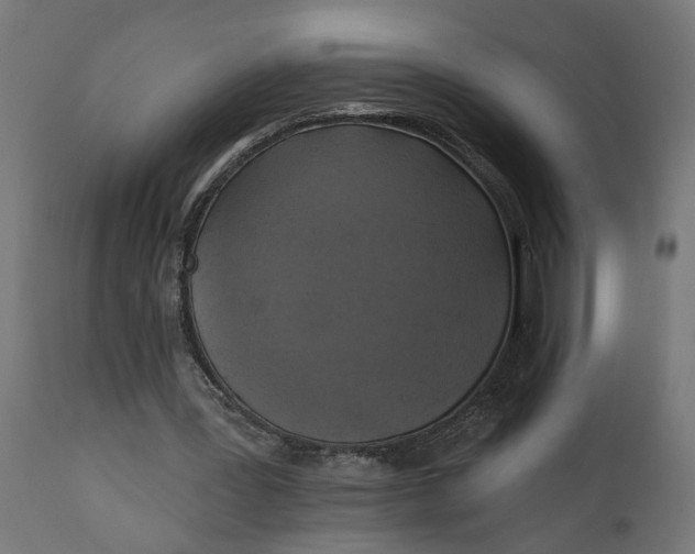 X0000111480387200907281208