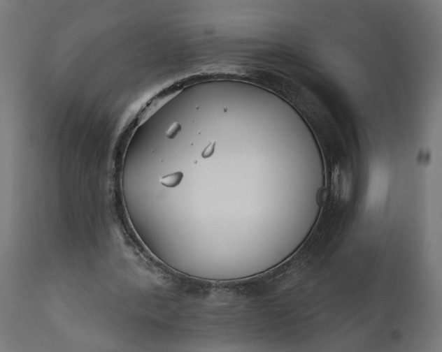 X0000111480388200907281208