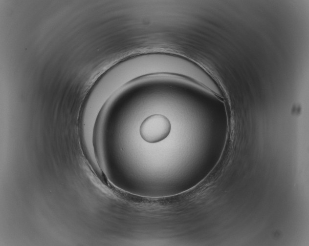 X0000111480389200907281208