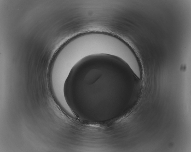 X0000111480391200907281208