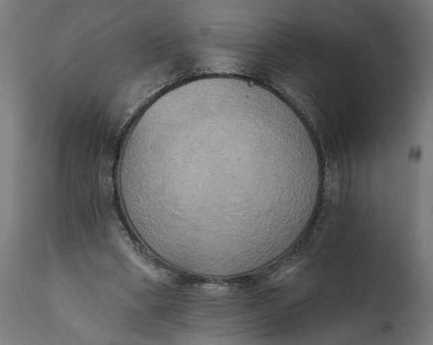 X0000111480394200907281208