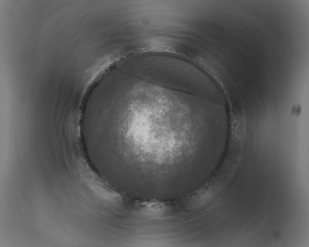 X0000111480395200907281208