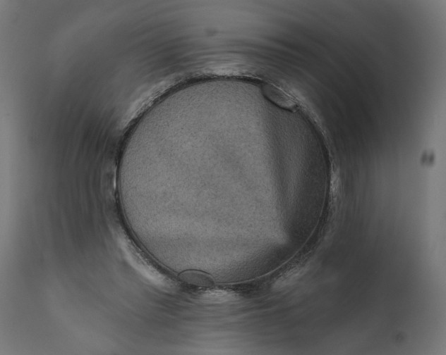 X0000111480397200907281208