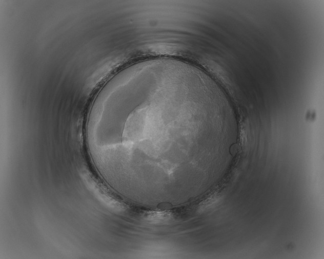 X0000111480398200907281208
