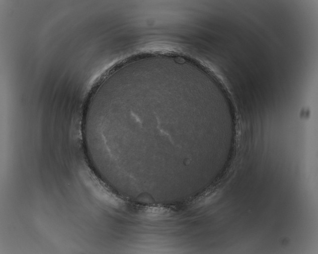 X0000111480399200907281208