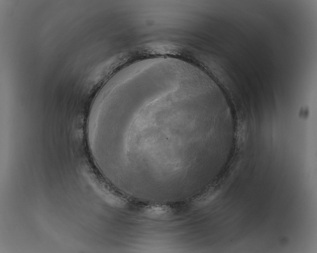 X0000111480402200907281208