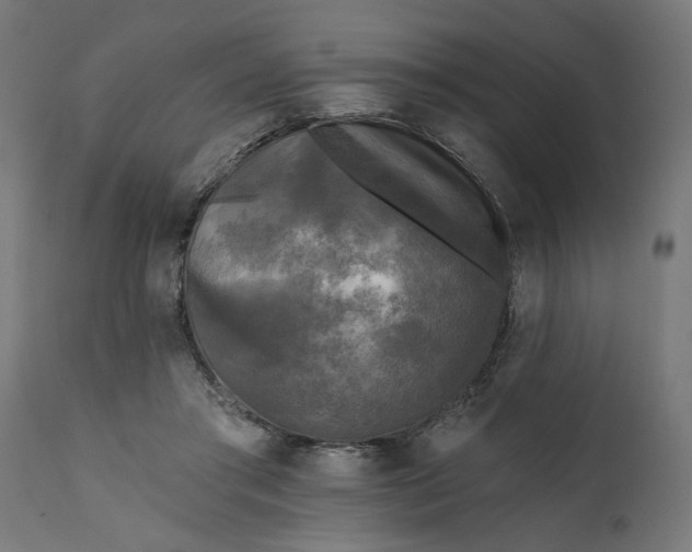 X0000111480405200907281208