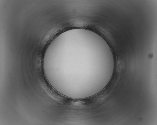X0000111480407200907281208