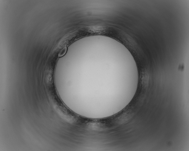 X0000111480408200907281208