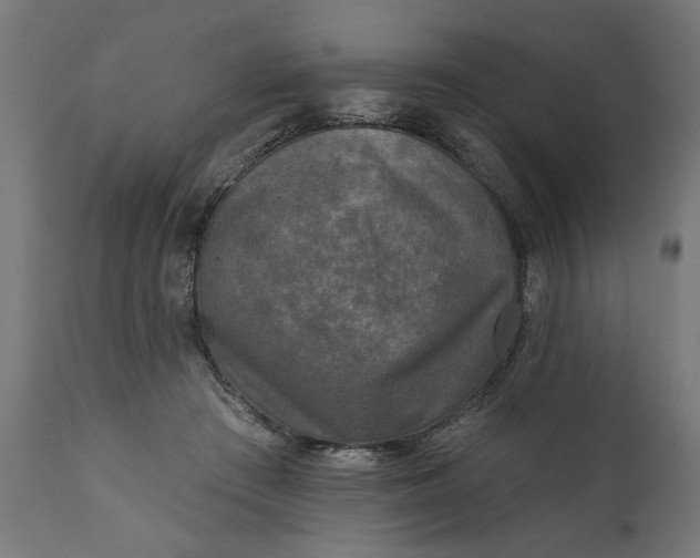 X0000111480409200907281208