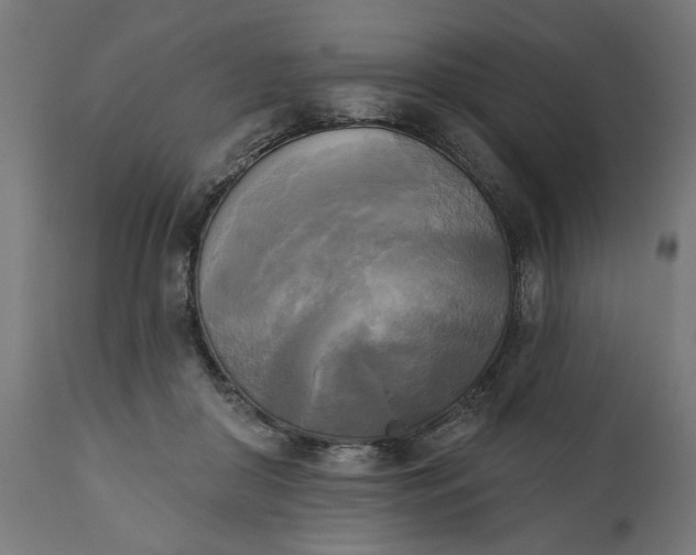 X0000111480410200907281208