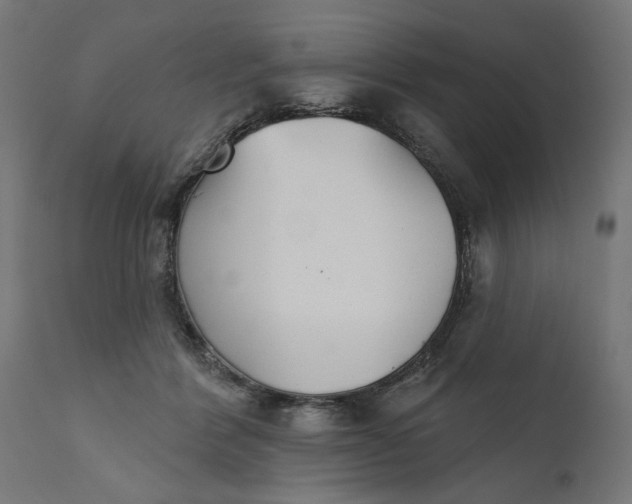 X0000111480412200907281208