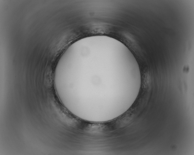 X0000111480414200907281208