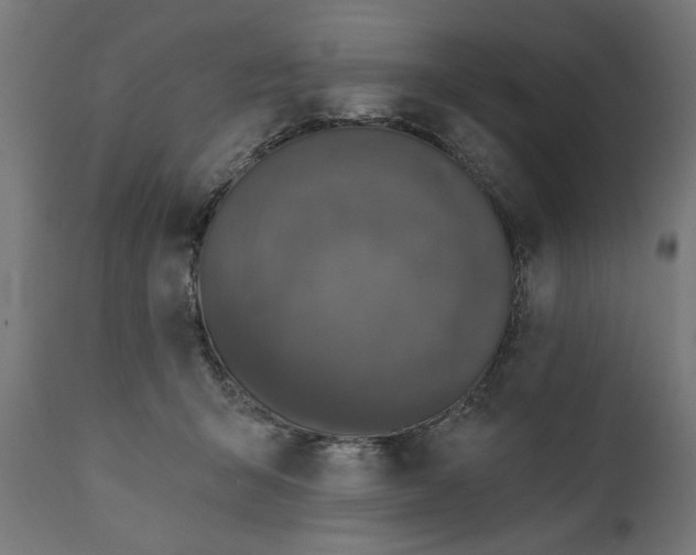 X0000111480415200907281207