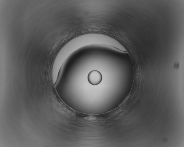 X0000111480419200907281207