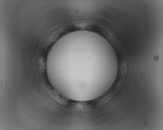 X0000111480420200907281207