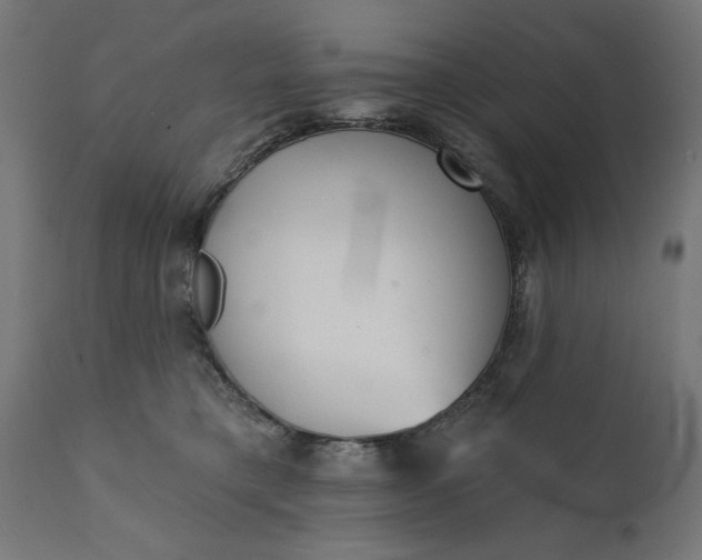 X0000111480421200907281207