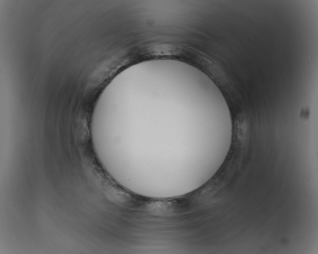 X0000111480422200907281207
