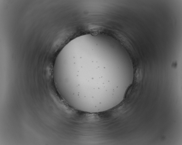 X0000111480424200907281207