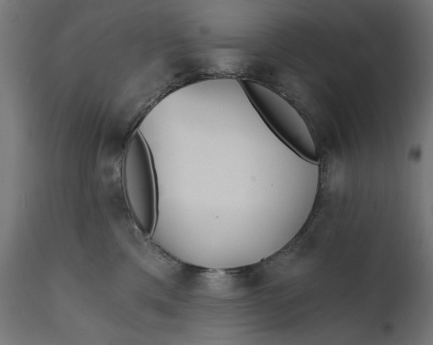 X0000111480425200907281207