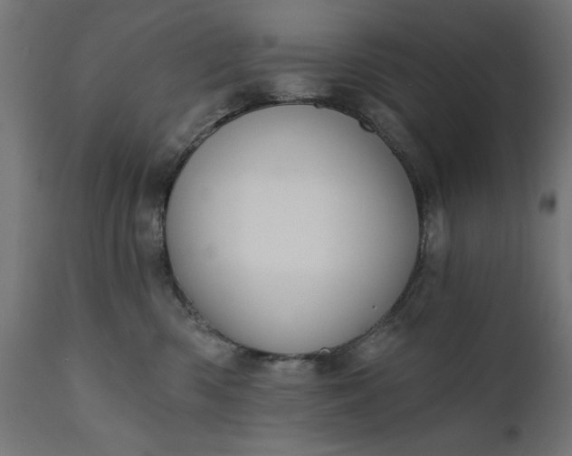 X0000111480426200907281207