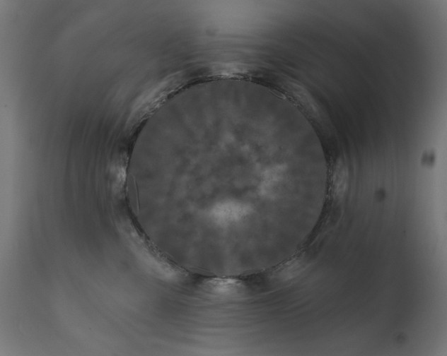 X0000111480427200907281207