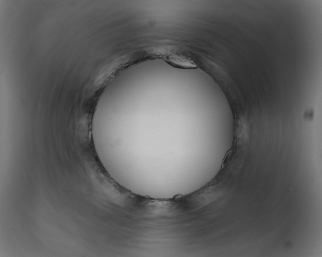 X0000111480428200907281207
