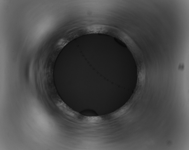 X0000111480429200907281207