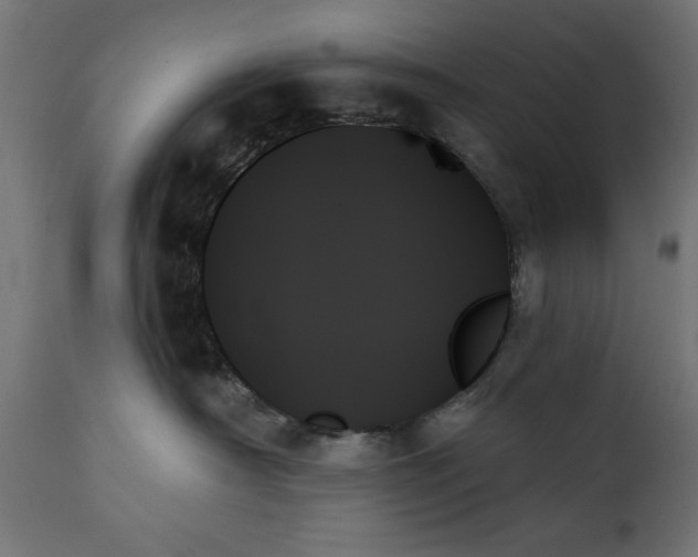 X0000111480430200907281207