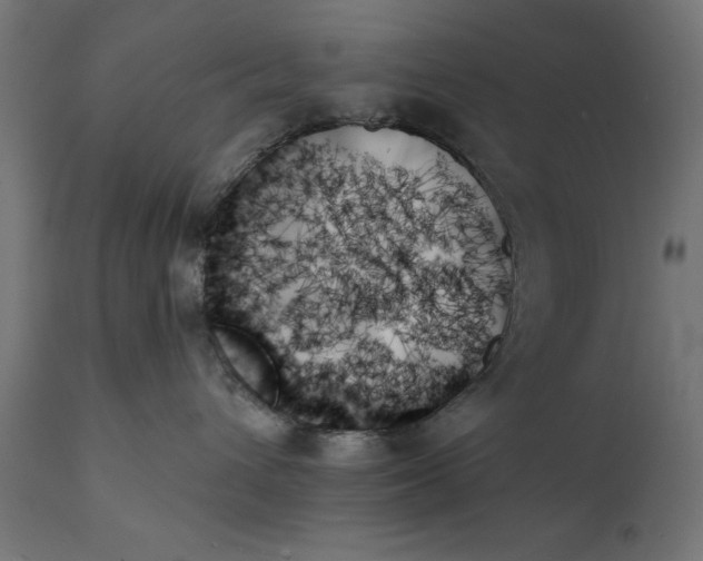 X0000111480432200907281207