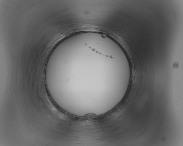 X0000111480433200907281206