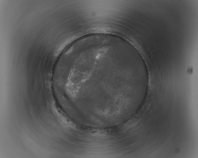 X0000111480434200907281206