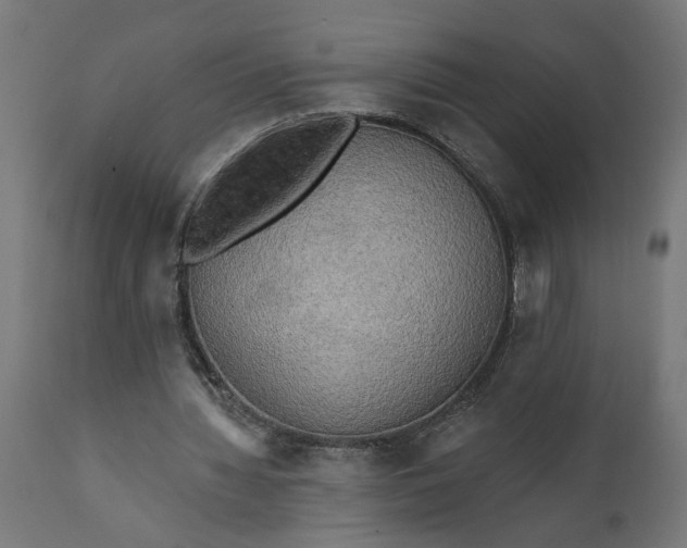 X0000111480436200907281206