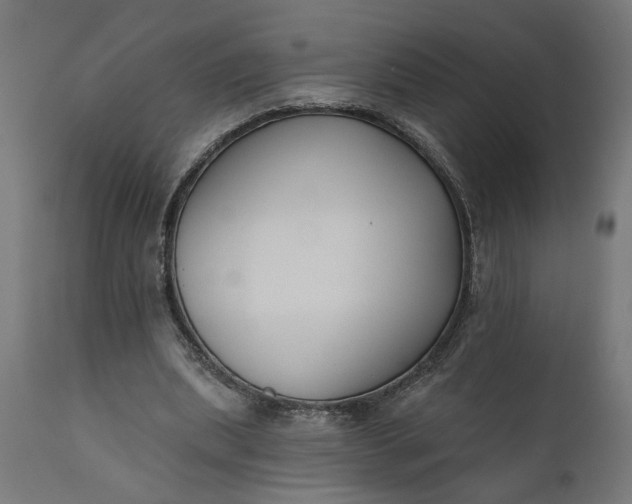 X0000111480439200907281207