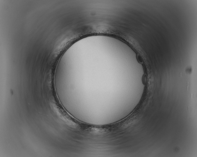 X0000111480442200907281207