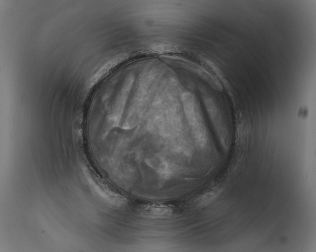 X0000111480443200907281207