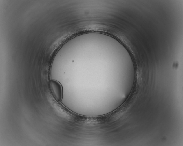 X0000111480445200907281207