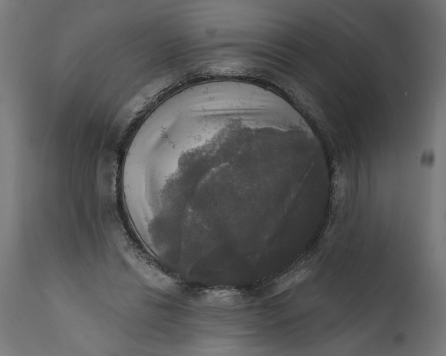 X0000111480446200907281207