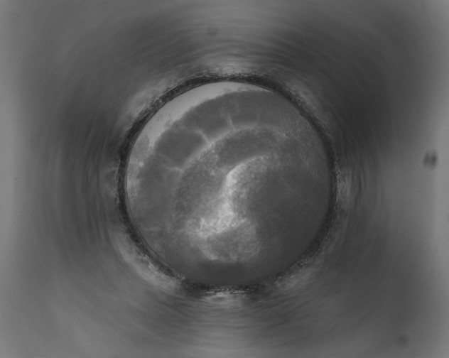 X0000111480447200907281207