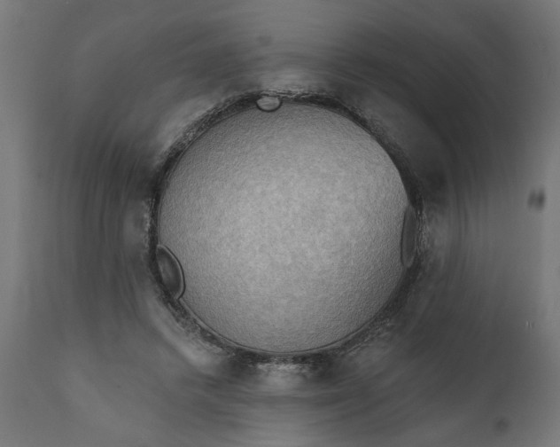 X0000111480448200907281207