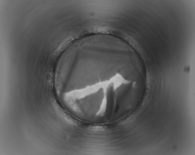 X0000111480449200907281207