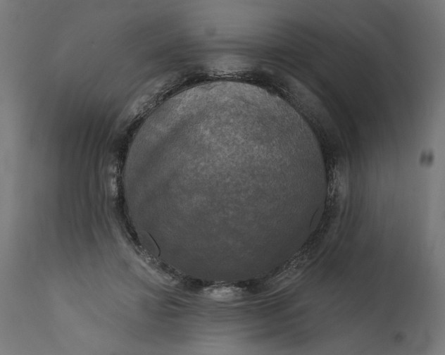 X0000111480452200907281207
