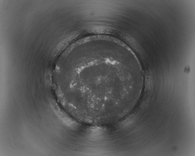 X0000111480453200907281207