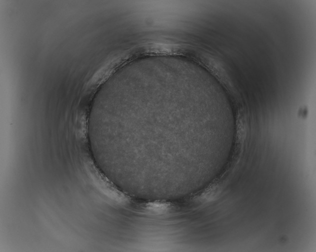 X0000111480457200907281207