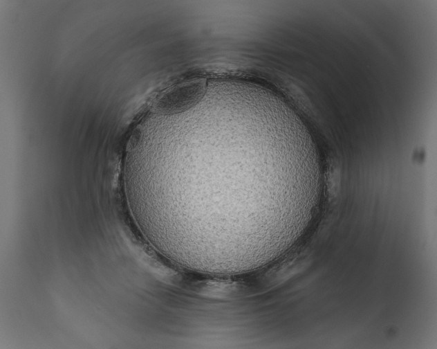 X0000111480458200907281207