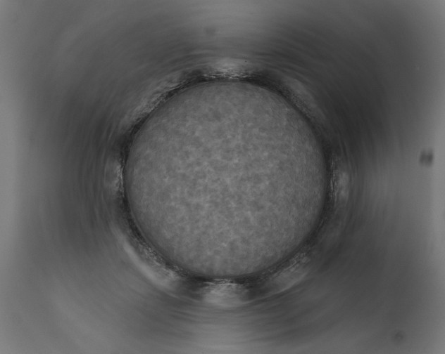 X0000111480459200907281207