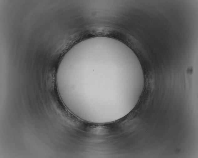 X0000111480460200907281207