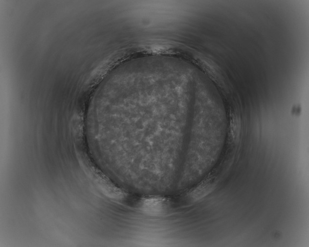 X0000111480461200907281207
