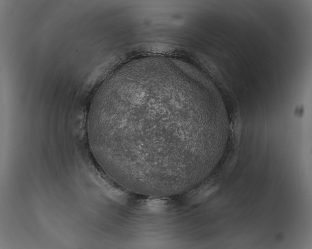 X0000111480462200907281207