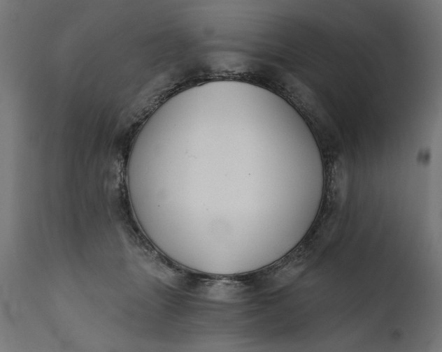 X0000111480463200907281207
